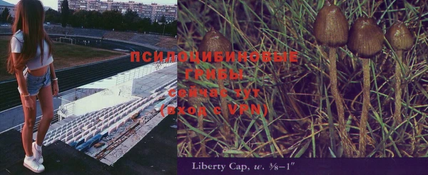 mix Алексин